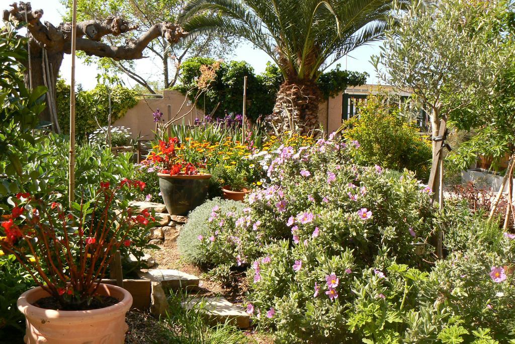 Bed and Breakfast L' Escale Tranquille Sète Exteriér fotografie