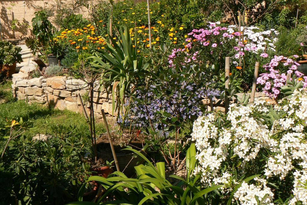 Bed and Breakfast L' Escale Tranquille Sète Exteriér fotografie